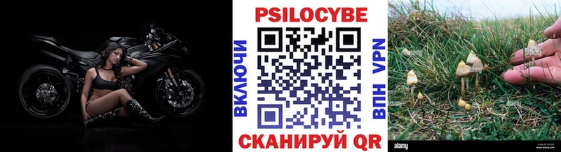 кракен ONION  Дзержинск  Галлюциногенные грибы GOLDEN TEACHER  дарнет шоп 