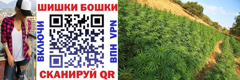 Бошки Шишки LSD WEED Дзержинск